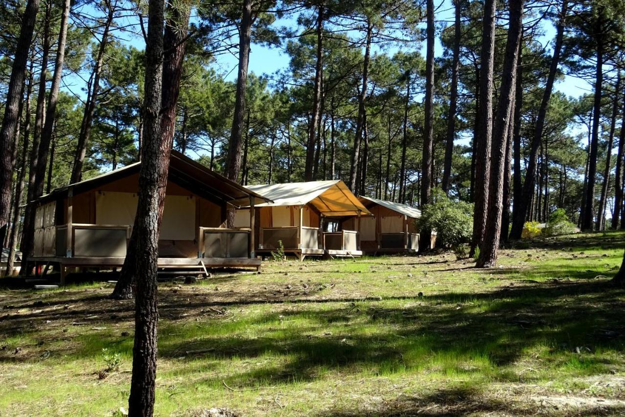 Wellness Sport Camping - La Dune Bleue 卡尔康 外观 照片